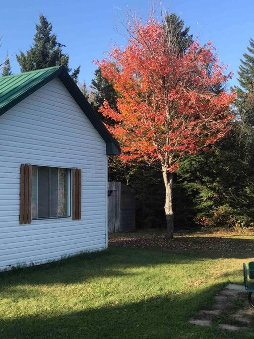 Le Jazz- Chalet Rustique/Chic Avec Spa Notre-Dame-Des-Bois Exterior foto